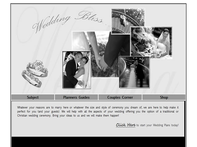 wedding and event website